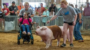 Emma Wheeler, Myka Colman and Kaylee Dingey in a show ring with pigs