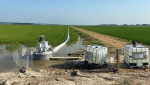 Tailwater recovery sump installed with poly pipe connected to the pump and running the length of a furrow-irrigated rice field.