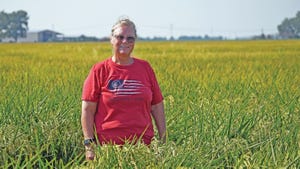 Woman standing in a drained field of late season rice.